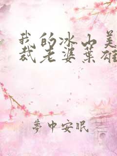 我的冰山美女总裁老婆叶雄