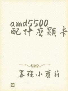 amd5500配什么显卡
