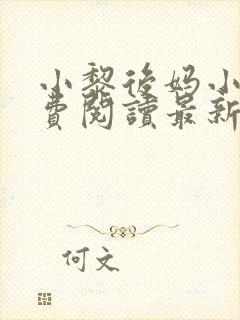 小黎后妈小说免费阅读最新章节更新