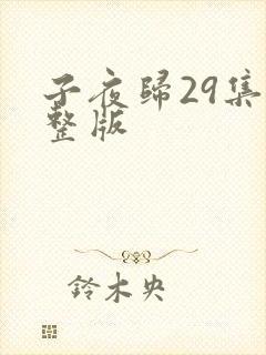 子夜归29集完整版