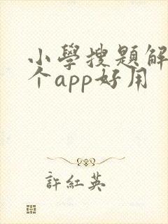 小学搜题解答哪个app好用