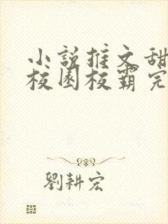 小说推文甜宠文校园校霸完结文