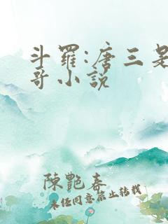 斗罗:唐三是我哥小说