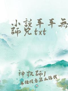 小说平平无奇大师兄txt