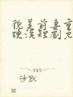 貌美前妻重生嫁硬汉短剧免费观看