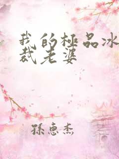 我的极品冰山总裁老婆