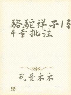 骆驼祥子1到24章批注