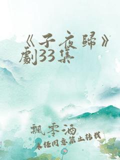 《子夜归》电视剧33集