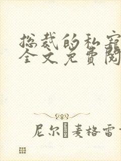 总裁的私宠宝贝全文免费阅读