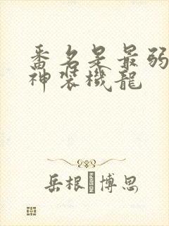 番名是最弱无败神装机龙