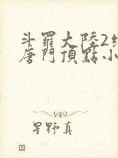 斗罗大陆2绝世唐门顶点小说网