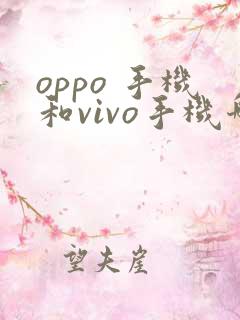 oppo 手机和vivo手机哪个好
