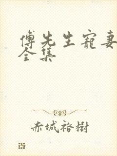 傅先生宠妻无度全集