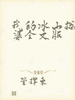 我的冰山总裁老婆全文版