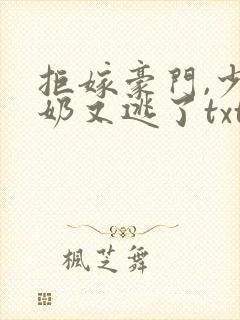 拒嫁豪门,少奶奶又逃了txt.小说免费阅读