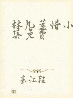 林凡叶惜小说全集免费