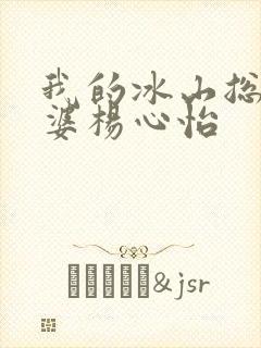 我的冰山总裁老婆杨心怡