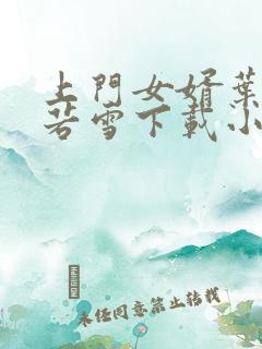 上门女婿叶凡唐若雪下载小说