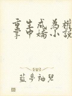 重生成为权臣的掌中娇小说