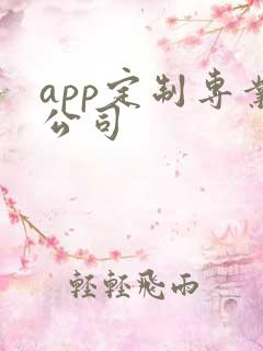 app定制专业公司