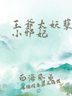 王爷太妖孽独宠小邪妃