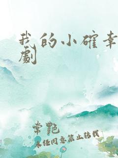 我的小确幸电视剧