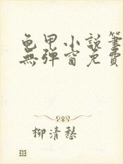 龟甲小说笔趣阁无弹窗免费阅读