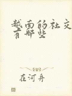 越南的社交软件有哪些