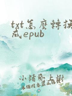 txt怎么转换成epub