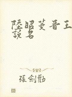 陆昭菱晋王的小说名