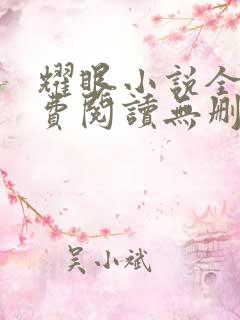 耀眼小说全文免费阅读无删减