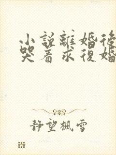 小说离婚后前夫哭着求复婚阅读