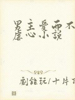 男主爱而不得的虐心小说