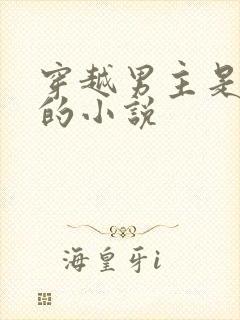 穿越男主是反派的小说