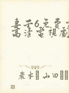 妻子6免费完整高清电视剧在线看中文