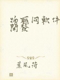 物联网软件公司开发