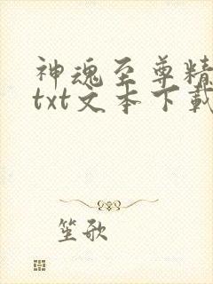 神魂至尊精校版txt文本下载