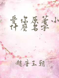 爱你原著小说叫什么名字