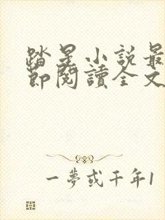 踏星小说最新章节阅读全文