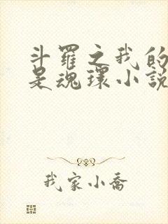 斗罗之我的武魂是魂环小说