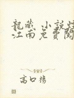 龙藏 小说烟雨江南免费阅读