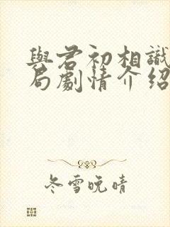 与君初相识大结局剧情介绍