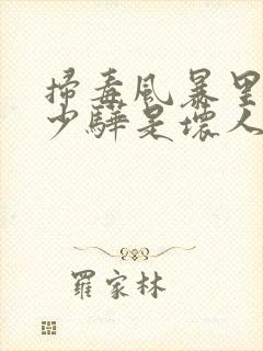 扫毒风暴里的卢少骅是坏人吗