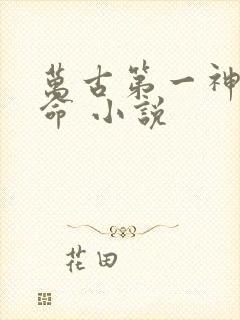 万古第一神李天命 小说