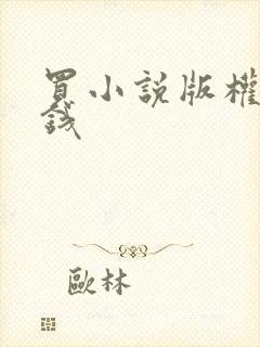 买小说版权多少钱