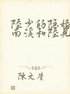 陆少的隐婚罪妻南溪和陆见深