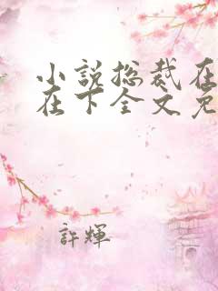 小说总裁在上我在下全文免费阅读