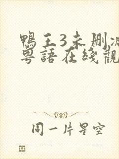 鸭王3未删减版粤语在线观看高清