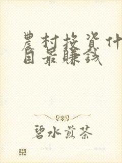 农村投资什么项目最赚钱