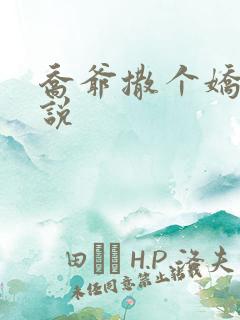 乔爷撒个娇的小说